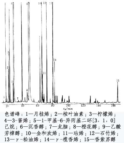 鿴ͼƬʵʳߴ磡